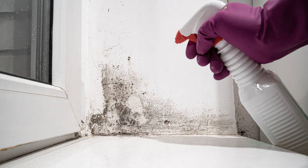 Water damage restoration experts in Montrose, MI